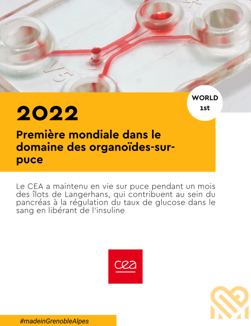 2022 - Première mondiale dans le domaine des organoïdes-sur-puce